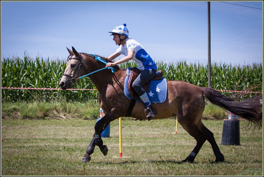 Mounted Games 220